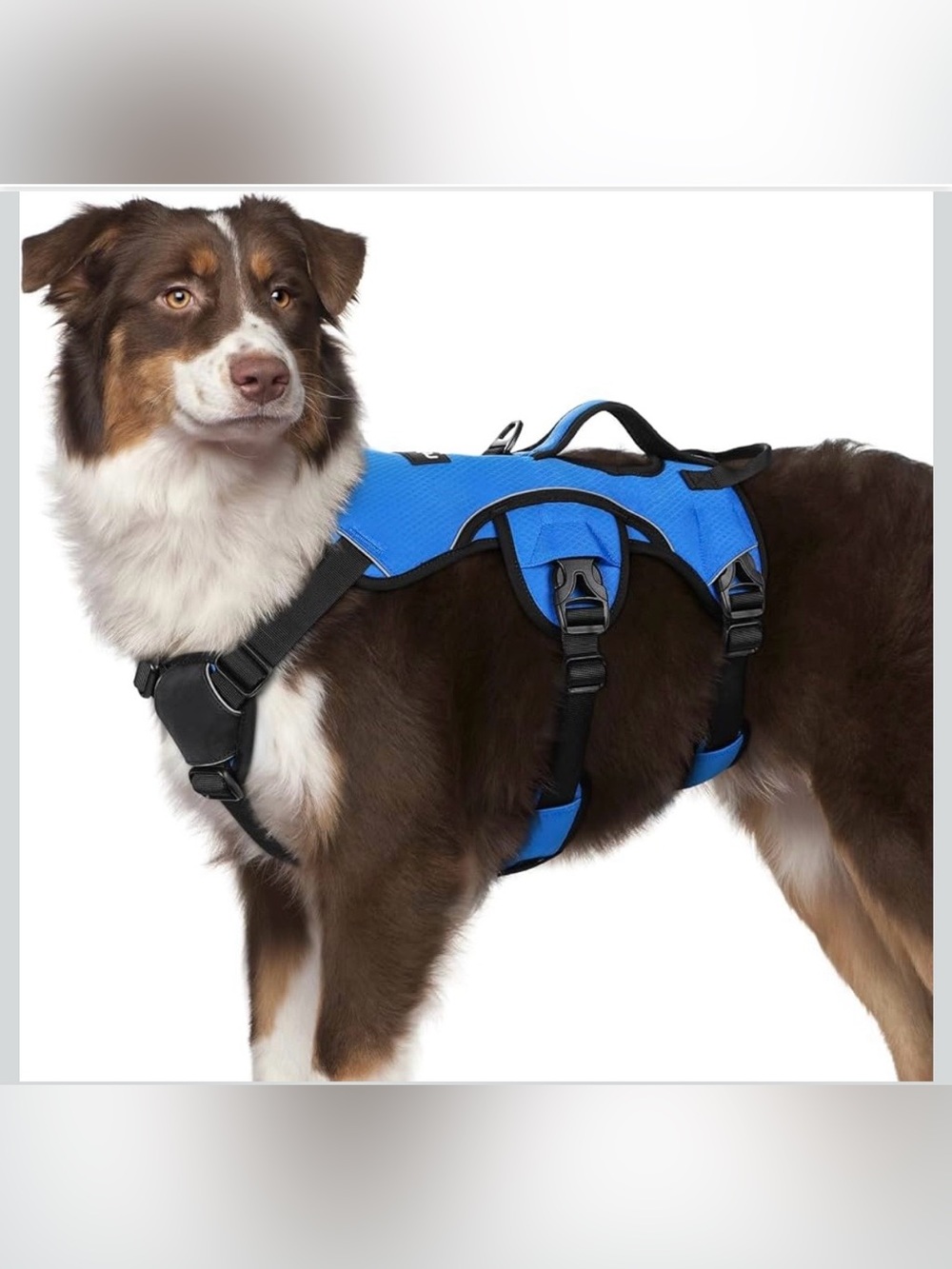rabbitgoo Escape Proof Dog Harness with Lift Handle M. 616/DB-1:v